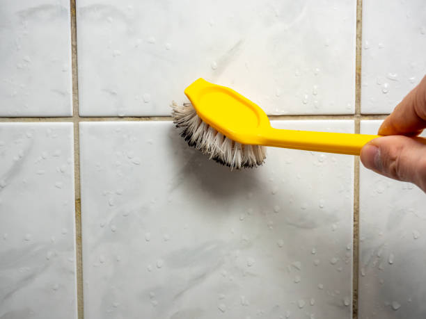 Best Local Mold Removal Service  in Myers Corner, NY