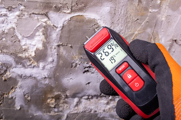 Best Certified Mold Removal  in Myers Corner, NY