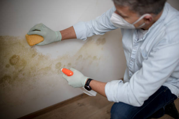 Best Crawl Space Mold Removal  in Myers Corner, NY