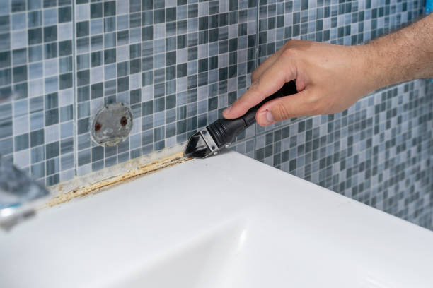 Best Black Mold Removal  in Myers Corner, NY