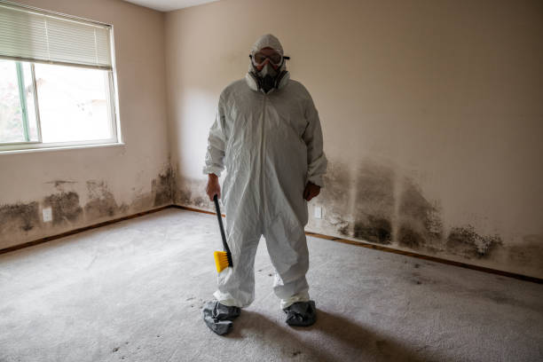 Attic Mold Removal in Myers Corner, NY